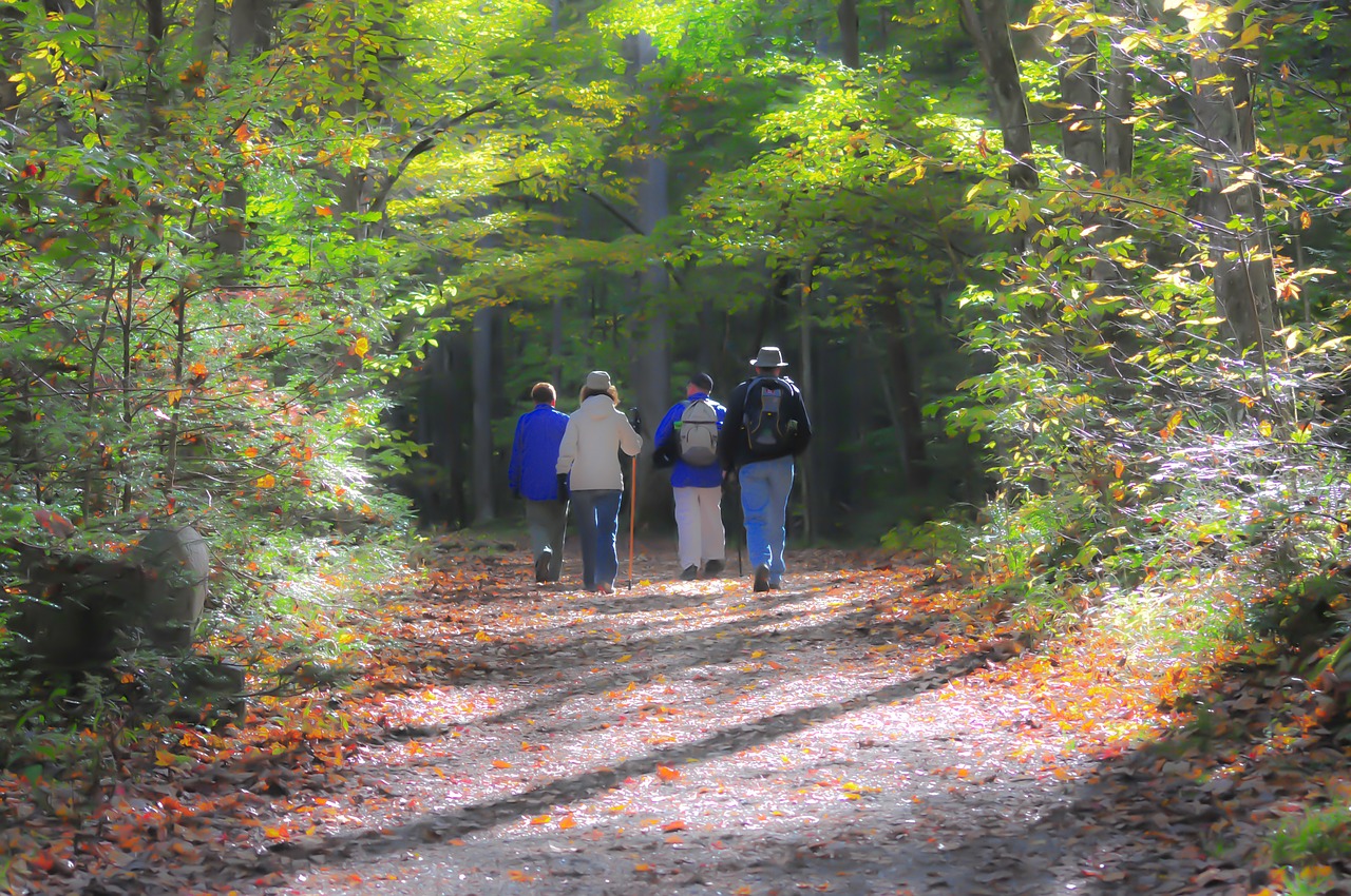 Hiking Trail in Smoky Mountains